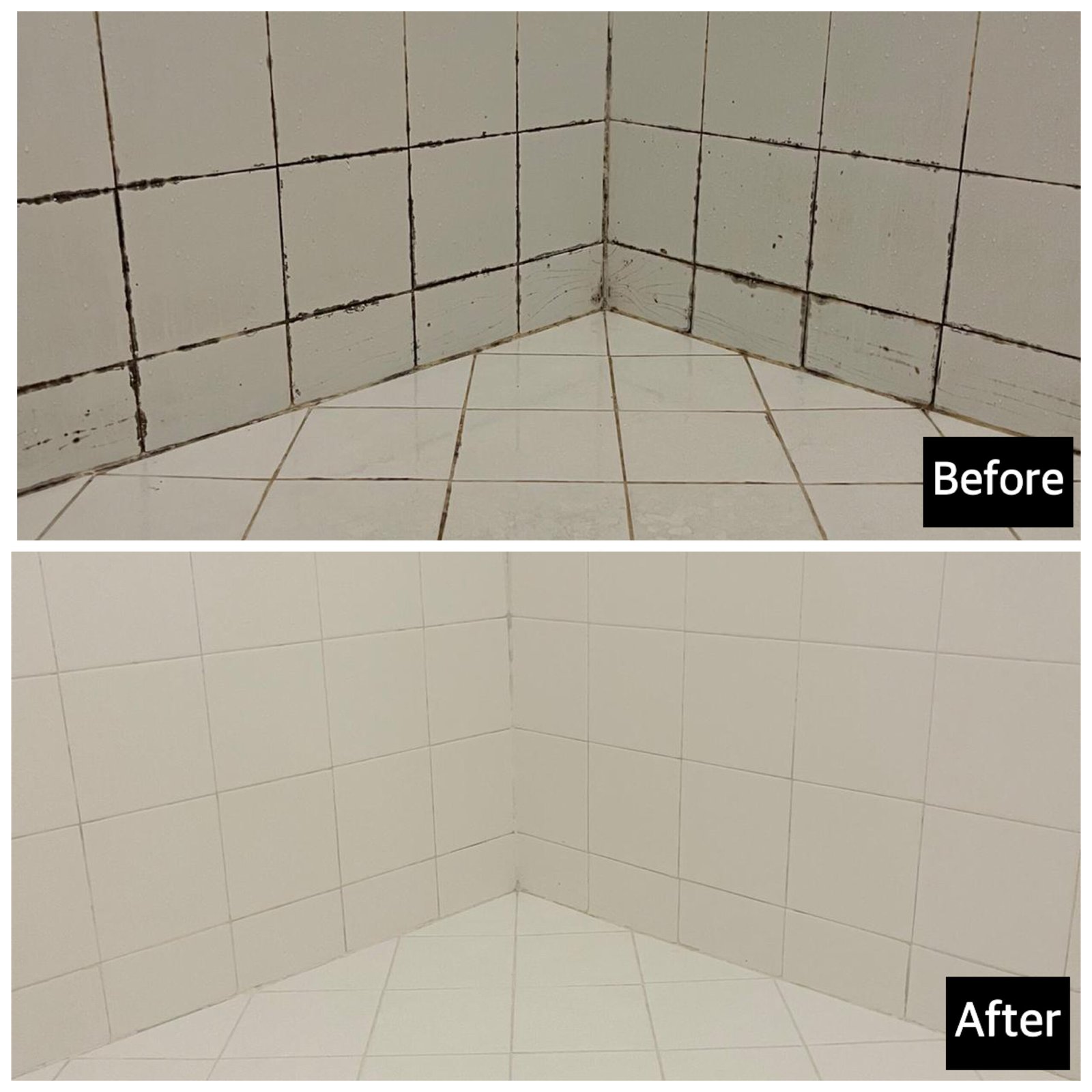 created by photogrid