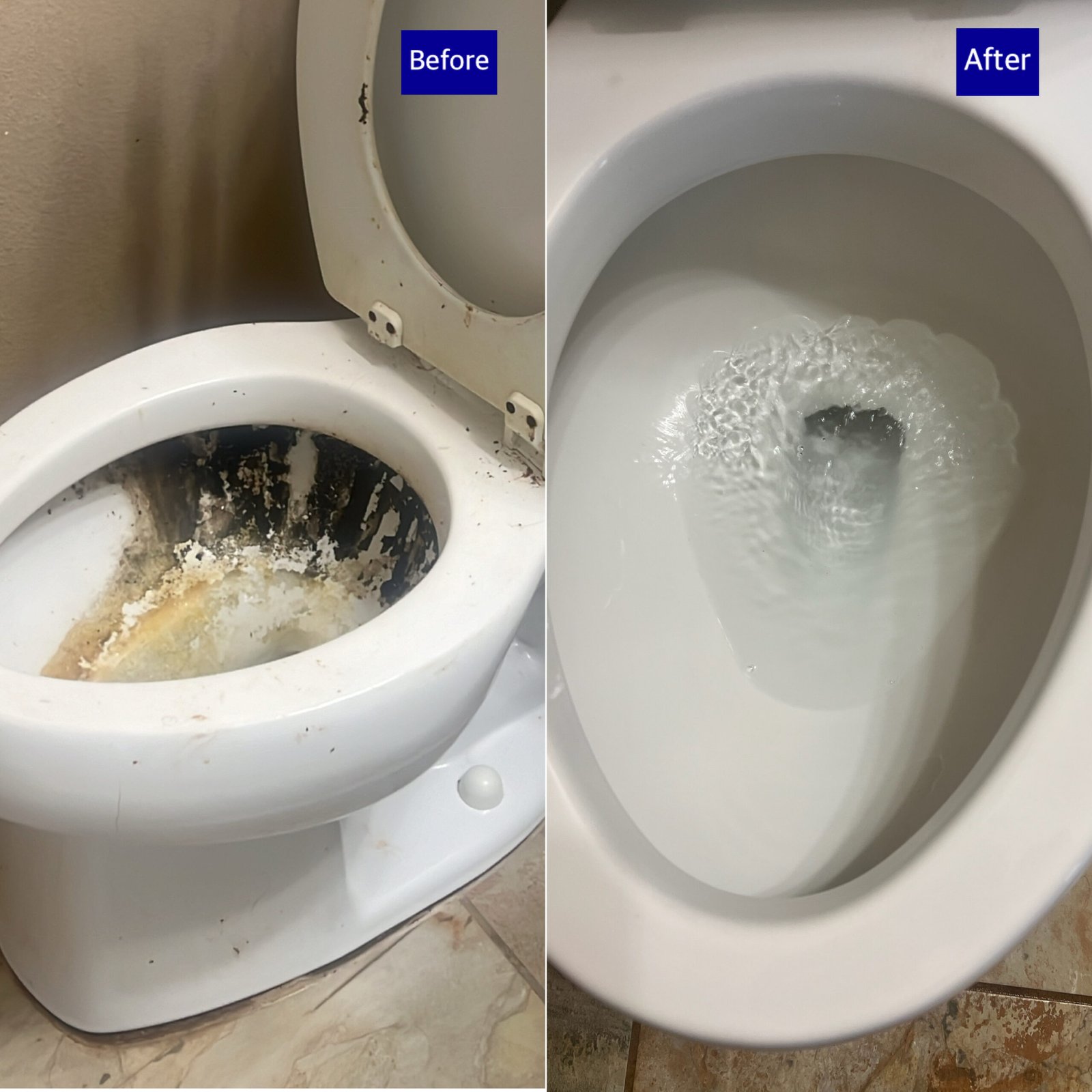 created by photogrid